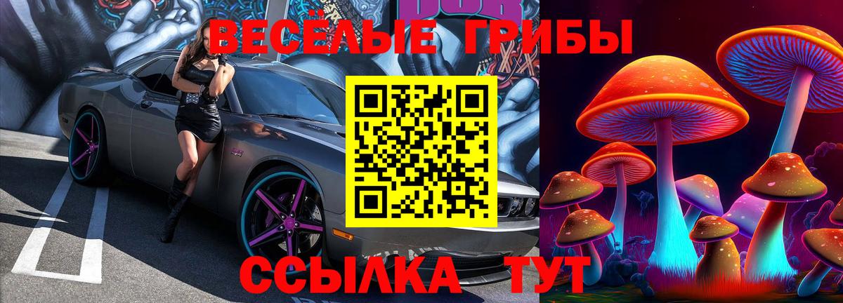 Еманжелинск  Псилоцибиновые грибы мицелий  Вход с VPN  Галлюциногенные грибы прущие грибы 